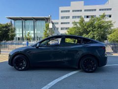 Tesla Model Y Rear-Wheel Drive - ფოტო 10