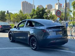 Tesla Model Y Rear-Wheel Drive - ფოტო 14