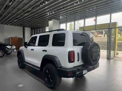 Tank 300 Off-Road Edition 2.0T Challenger - ფოტო 8