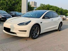 Tesla Model 3 Standard Range RWD Upgrade - ფოტო 1