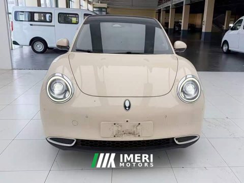 2021 ORA Good Cat 400km Standard Range Athena Edition LFP Battery - ავტომობილი ჩინეთიდან