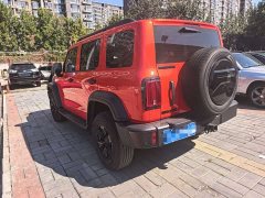 Tank 300 2.0T Conqueror - ფოტო 15