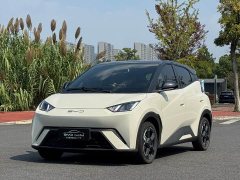 BYD Seagull 2023 Freedom Edition - ფოტო 1