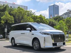 Great Wall WEY Shanshan New Energy Four-Wheel Drive Shanshan 8 - ფოტო 3