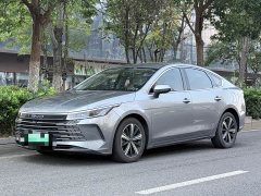 BYD Destroyer 05 DM-i 55KM Luxury - ფოტო 1