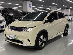 BYD Dolphin 420km Fashion Edition - ფოტო 1