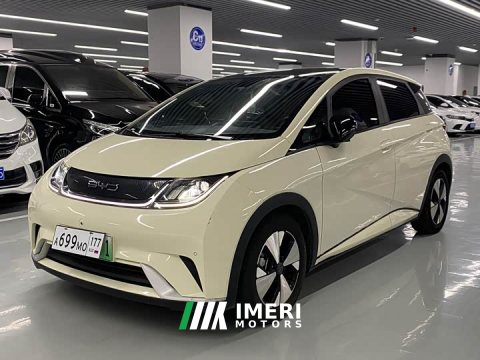 2023 BYD Dolphin 420km Fashion Edition - ავტომობილი ჩინეთიდან