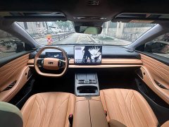 Geely Galaxy Xingyao 8 130km EM-P Explorer Edition - ფოტო 11