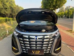 Denza D9 2022 DM-i 970 AWD Flagship - ფოტო 9