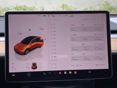 Tesla Model Y Rear-Wheel Drive - ფოტო 10