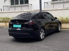 Tesla Model Y Rear-Wheel Drive - ფოტო 11