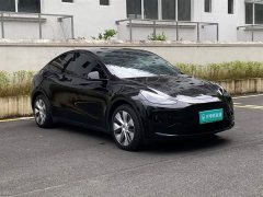Tesla Model Y Rear-Wheel Drive - ფოტო 12