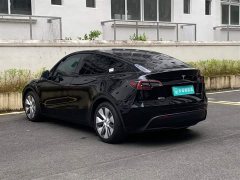 Tesla Model Y Rear-Wheel Drive - ფოტო 6