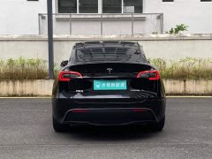 Tesla Model Y Rear-Wheel Drive - ფოტო 7