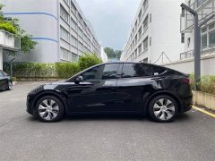 Tesla Model Y Rear-Wheel Drive - ფოტო 9