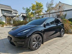 Tesla Model Y 2022 Long Range All-Wheel Drive - ფოტო 1