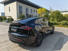 Tesla Model Y 2022 Long Range All-Wheel Drive - ფოტო 11