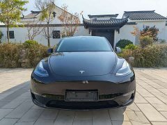 Tesla Model Y 2022 Long Range All-Wheel Drive - ფოტო 2