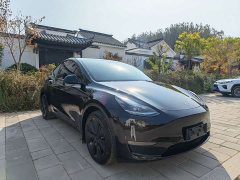 Tesla Model Y 2022 Long Range All-Wheel Drive - ფოტო 3