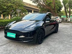 Tesla Model Y Long Range All-Wheel Drive - ფოტო 1