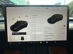 Tesla Model Y Long Range All-Wheel Drive - ფოტო 10