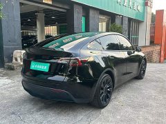 Tesla Model Y Long Range All-Wheel Drive - ფოტო 14