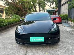 Tesla Model Y Long Range All-Wheel Drive - ფოტო 2
