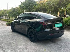Tesla Model Y Long Range All-Wheel Drive - ფოტო 6