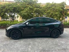 Tesla Model Y Long Range All-Wheel Drive - ფოტო 9