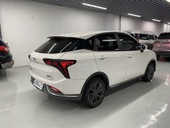Neta V 2022 Pro Long Range Smart Comfort Edition - ფოტო 13