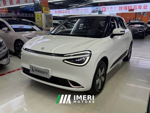 2025 Dongfeng Nammi 01 330 Youth Edition - ავტომობილი ჩინეთიდან