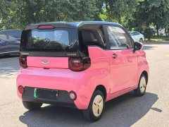 Chery QQ Ice Cream 170km Sundae LFP - ფოტო 4