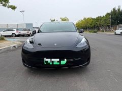 Tesla Model Y Rear-Wheel Drive - ფოტო 6
