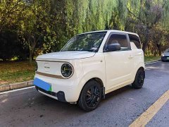 Geely Panda Mini 200km Endurance Edition - ფოტო 1