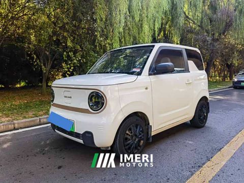 2024 Geely Panda Mini 200km Endurance Edition - ავტომობილი ჩინეთიდან