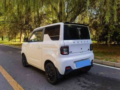 Geely Panda Mini 200km Endurance Edition - ფოტო 8