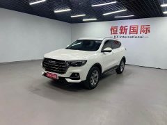 Haval H6 2021 National Trend 1.5T Automatic Champion Edition - ფოტო 1
