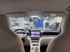 Geely Xing Yuan 310km Youth Edition - ფოტო 10