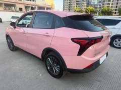 Neta Nezha V Standard Range Industry Custom Edition - ფოტო 10
