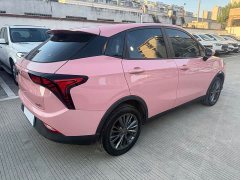 Neta Nezha V Standard Range Industry Custom Edition - ფოტო 11