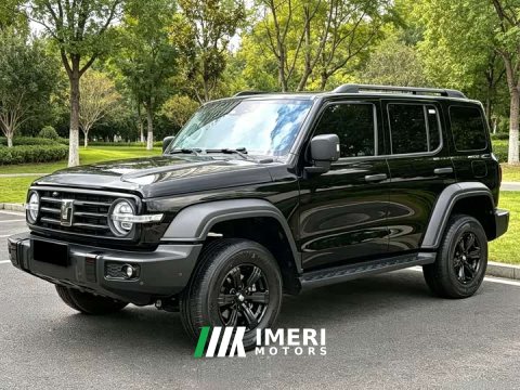 2025 Tank 300 2.0T Gasoline Conqueror - ავტომობილი ჩინეთიდან