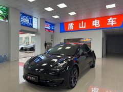 Tesla Model 3 Performance All-Wheel Drive - ფოტო 1