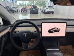 Tesla Model 3 Performance All-Wheel Drive - ფოტო 7