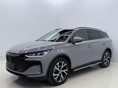 BYD Tang New Energy DM-i 115KM Premium Edition - ფოტო 1