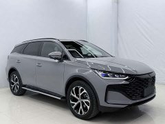 BYD Tang New Energy DM-i 115KM Premium Edition - ფოტო 3