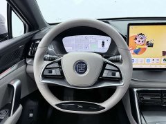 BYD Tang New Energy DM-i 115KM Premium Edition - ფოტო 5