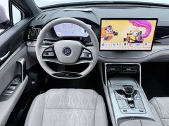 BYD Tang New Energy DM-i 115KM Premium Edition - ფოტო 8