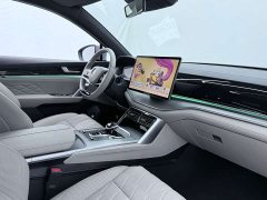 BYD Tang New Energy DM-i 115KM Premium Edition - ფოტო 9