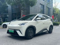 BYD Seagull 2023 Vitality Edition - ფოტო 1