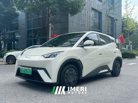 2024 BYD Seagull 2023 Vitality Edition - ავტომობილი ჩინეთიდან